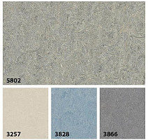 Forbo Marmoleum Decibel on Order 580235 alpine mist фото 3 | FLOORDEALER